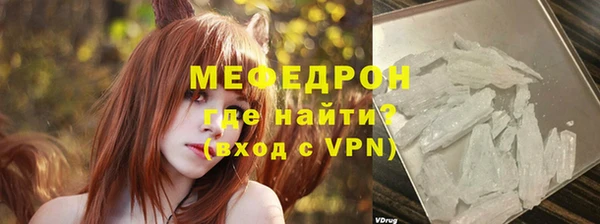 стаф Корсаков