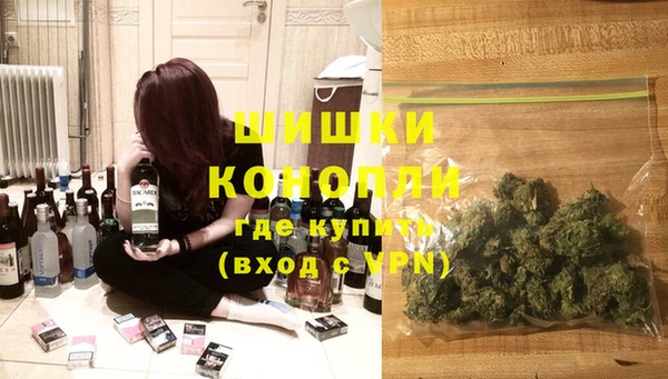 стаф Корсаков