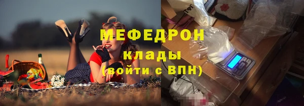 стаф Корсаков