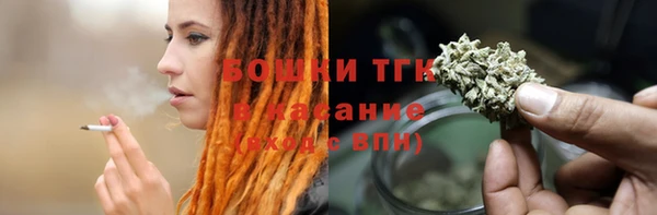 стаф Корсаков