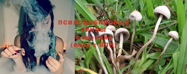 таблы Коряжма