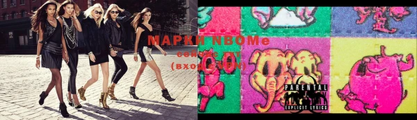 стаф Корсаков