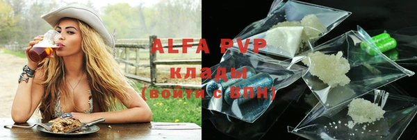 стаф Корсаков