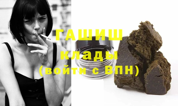 стаф Корсаков