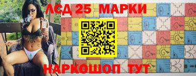 прущие грибы Новозыбков
