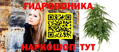 гашиш Новокубанск