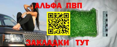 прущие грибы Новозыбков